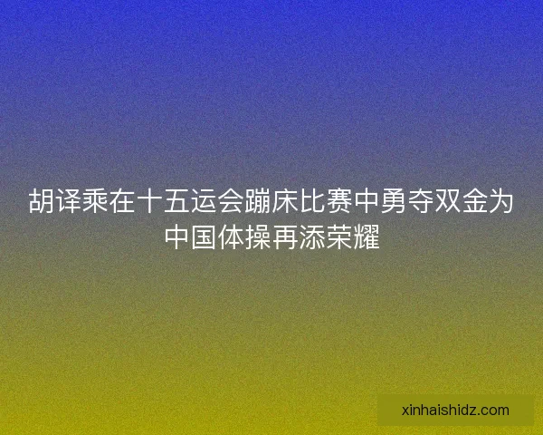 胡译乘在十五运会蹦床比赛中勇夺双金为中国体操再添荣耀 胡译乘在十五运会蹦床比赛中勇夺双金为中国体操再添荣耀
