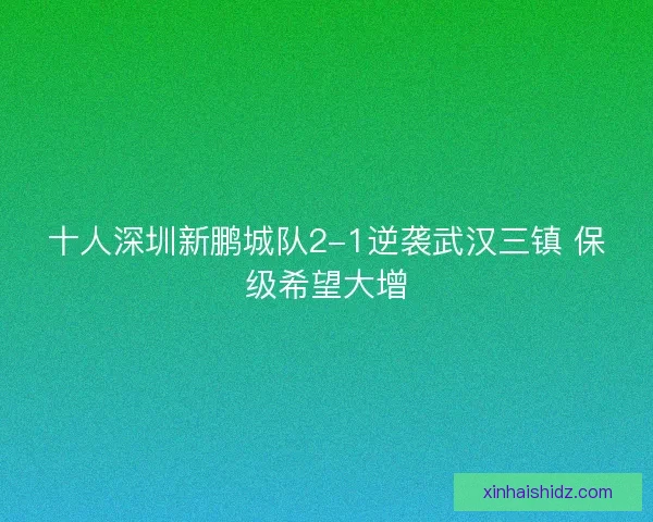 十人深圳新鹏城队2-1逆袭武汉三镇 保级希望大增 十人深圳新鹏城队2-1逆袭武汉三镇 保级希望大增